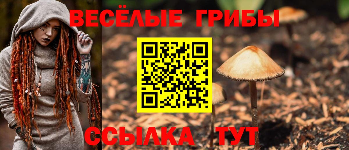 Псилоцибиновые грибы мицелий Воткинск