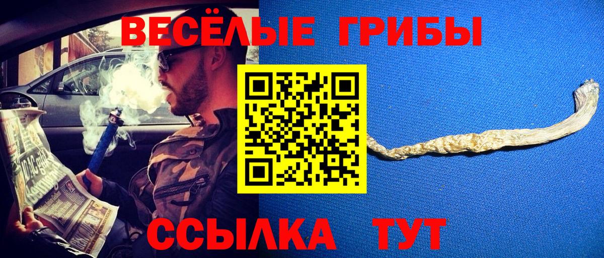 Воткинск  Псилоцибиновые грибы Psilocybe  Вход с VPN 